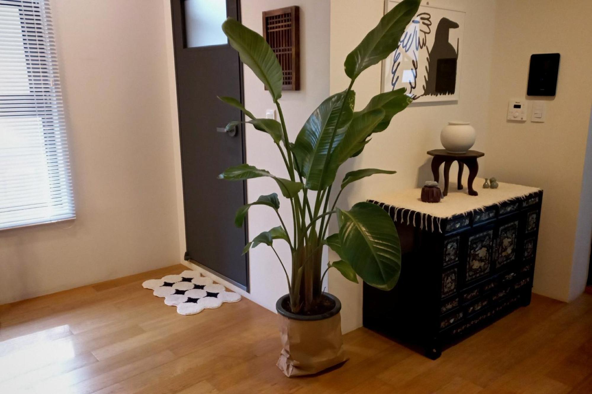 סיאול Korean Traditional Terrace House מראה חיצוני תמונה